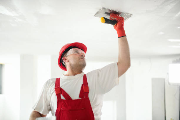 Best Ceiling Drywall Installation  in Monroe, LA